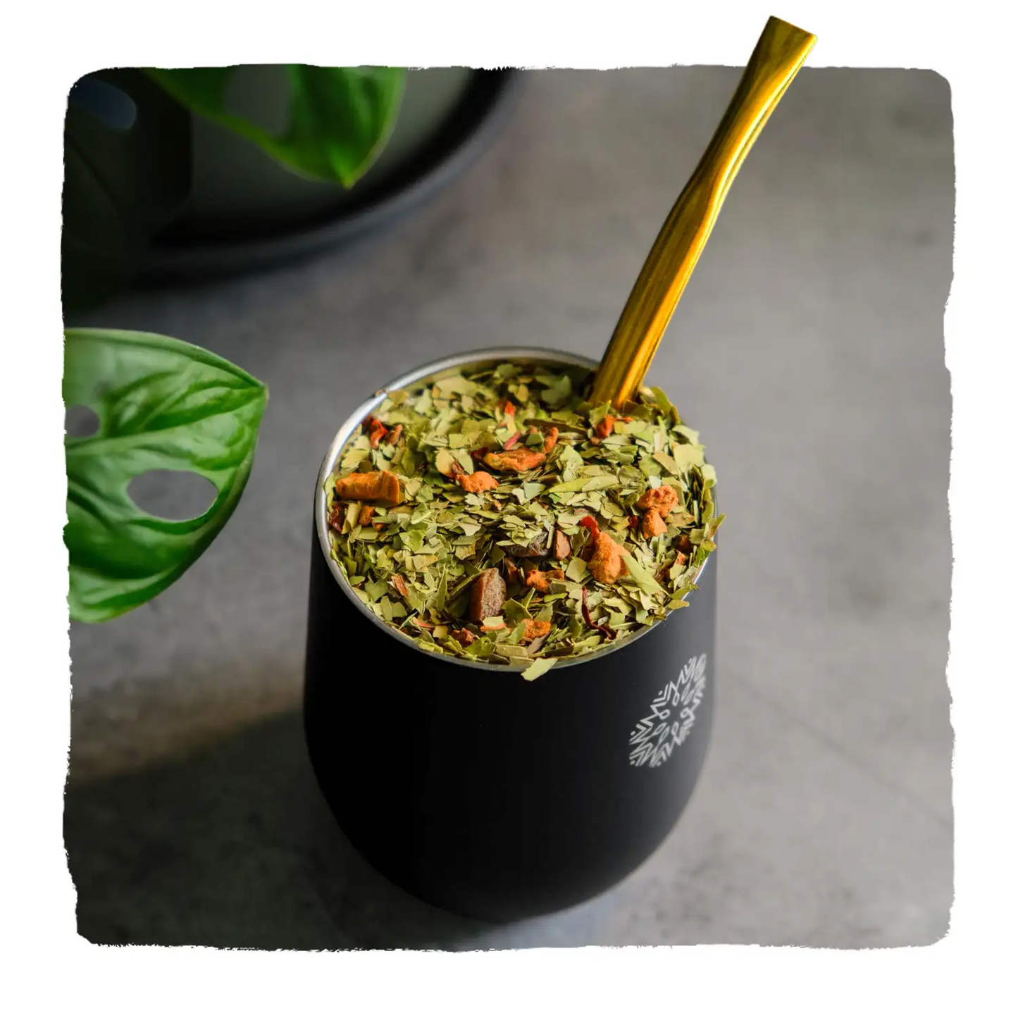 Bombilla inox + Housse & Brosse