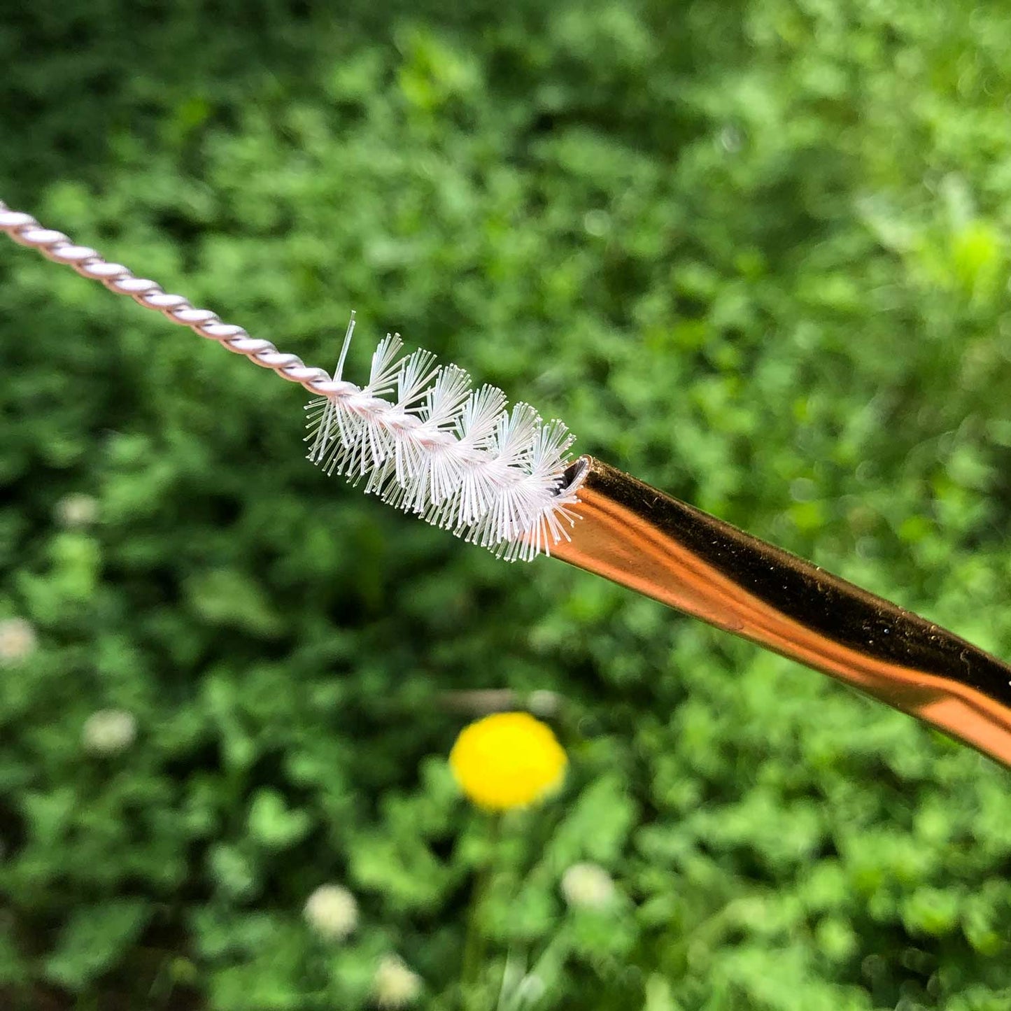 Brosses nettoyage de bombilla x3 🧹