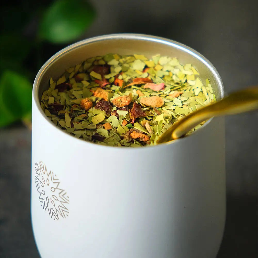 Calebasse Thermos & Bombilla 🧉