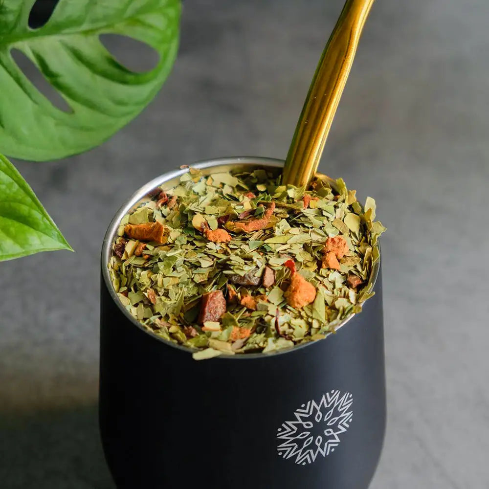 Calebasse Thermos & Bombilla 🧉