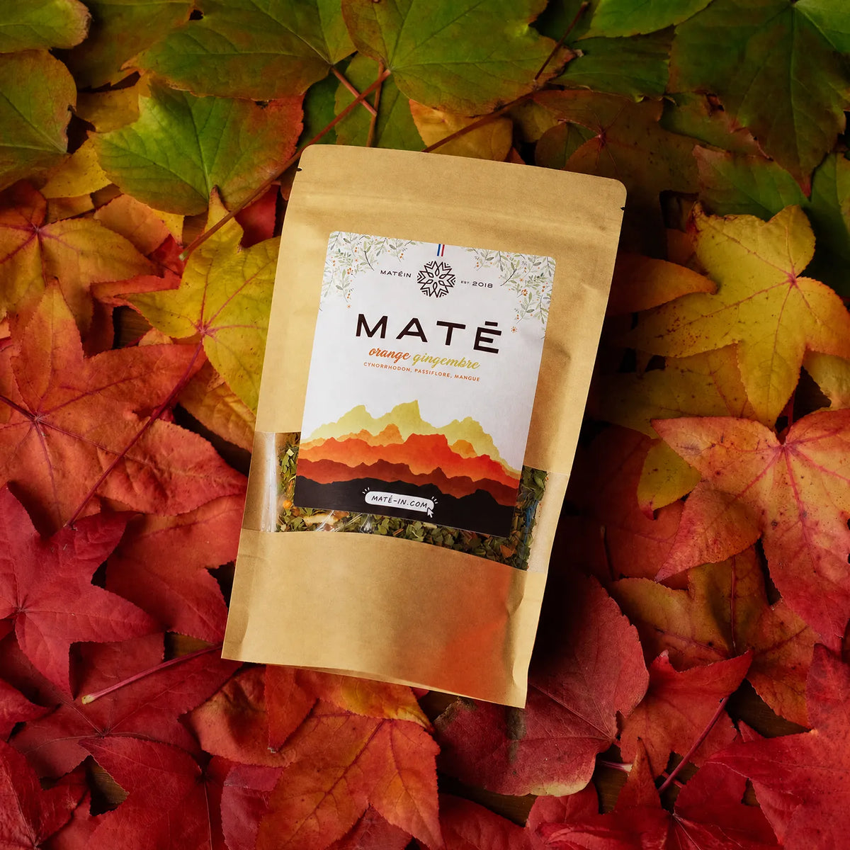 Maté Orange Gingembre 🍊