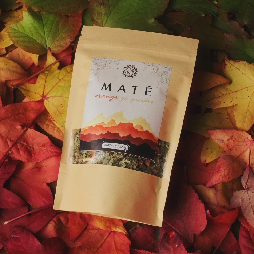 Maté Orange Gingembre 🍊