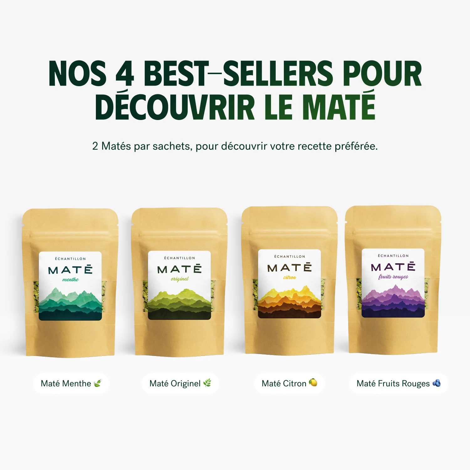 Pack Découverte Maté 🧉